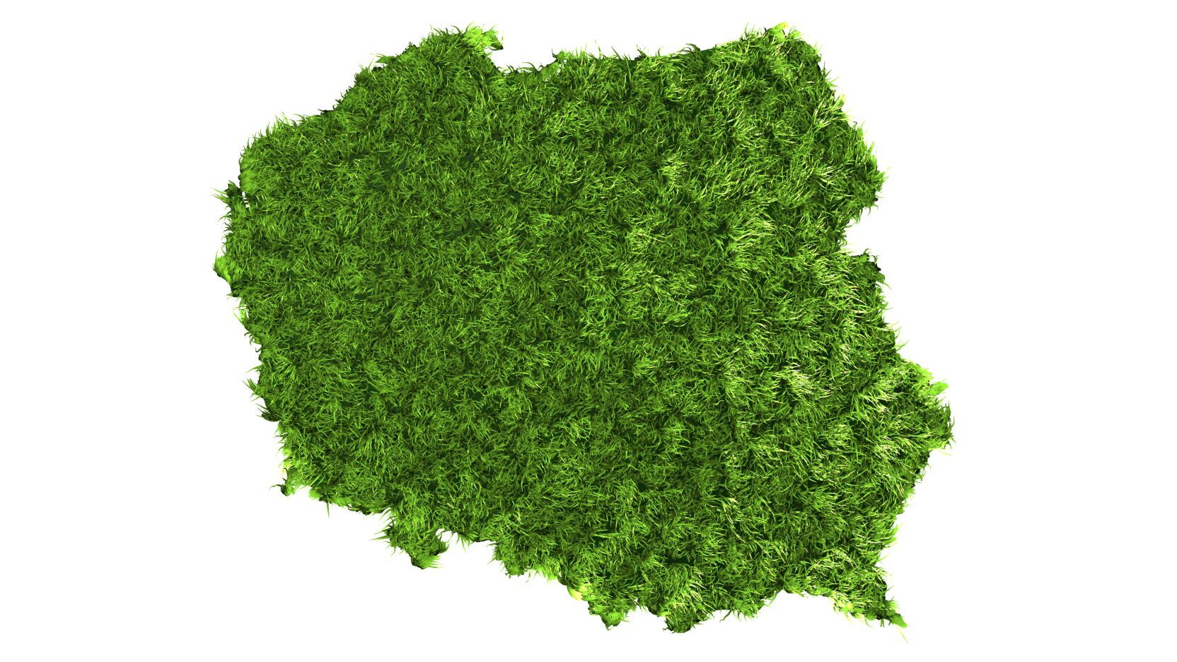 Budujemy zieloną Polskę
